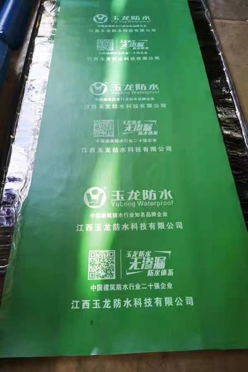 圖片3